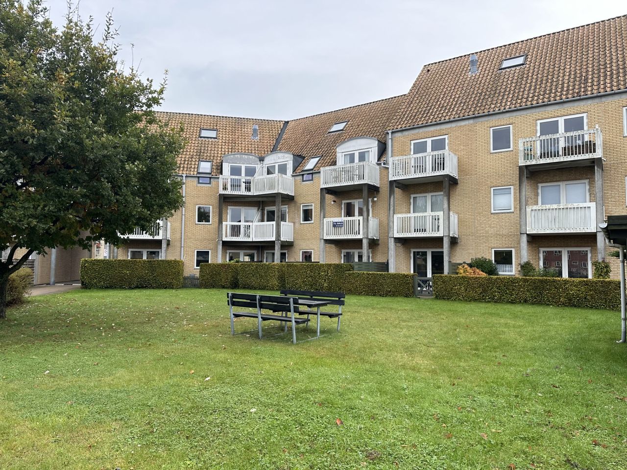 image 01